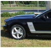 2011-13 Mustang 5.0L Numeral Decal Set - for Side L-Stripe Kit